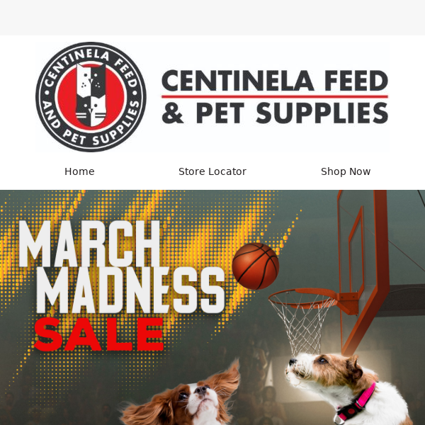 🐾 March Madness Continues: $10 Off $60/$25 Off $125! 🐶🐱