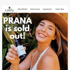 Important info about PRANA