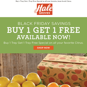 🍊🍊 Huge Black Friday Savings - Buy 1 Get 1 FREE Available Now!