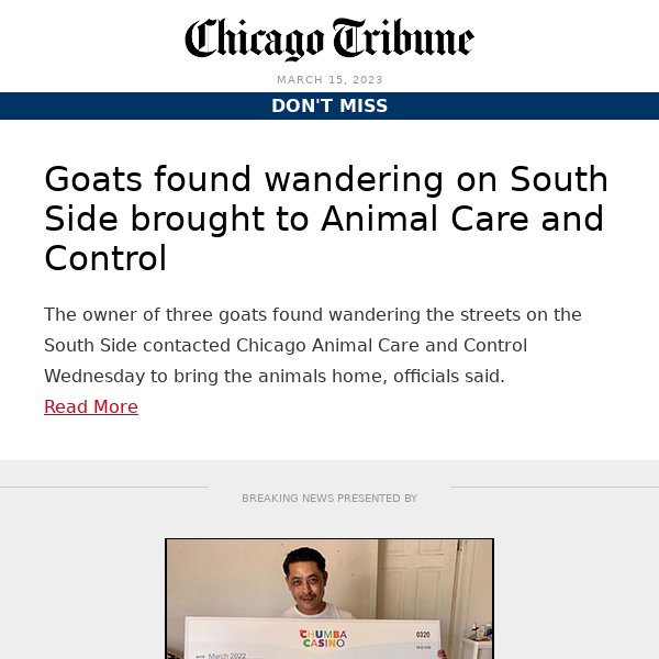 Goats found wandering on South Side