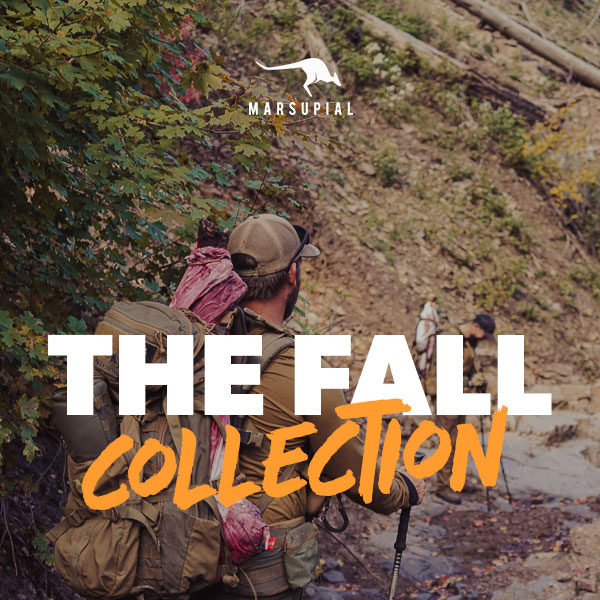 Our new fall collection is here!