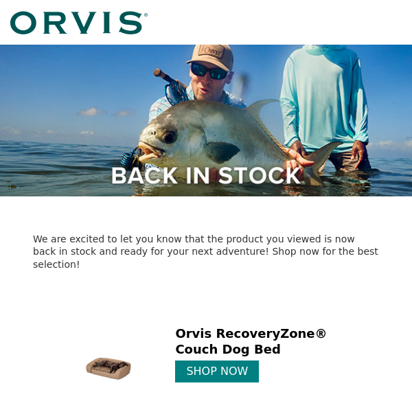 Back in stock: Orvis RecoveryZone® Couch Dog Bed