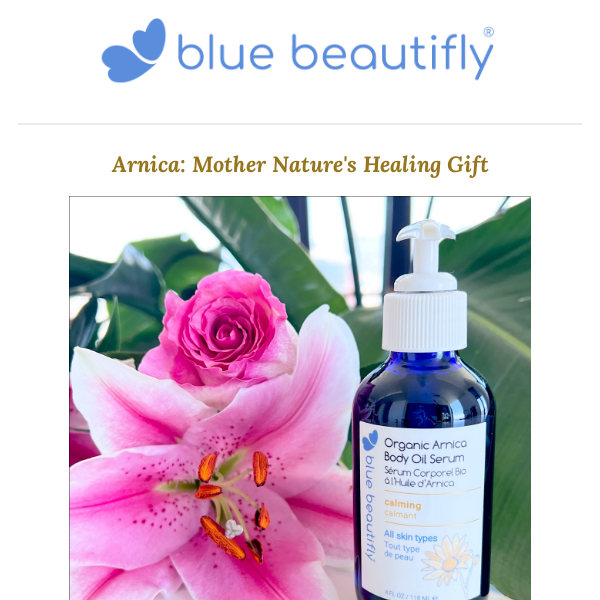 Arnica: Mother Nature's Healing Gift🌼