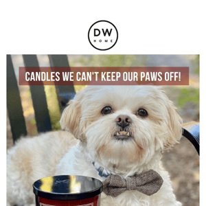 PAWsitively Perfect Scents 🐾