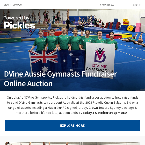 DVine Aussie Gymnasts Fundraiser Auction