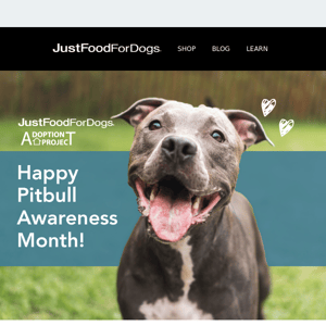 Debunking Pitbull Myths with Science