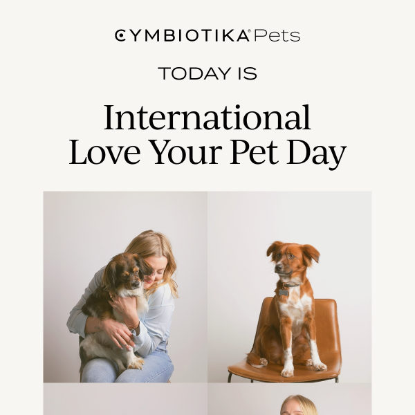 It's International Love Your Pet Day 🐾