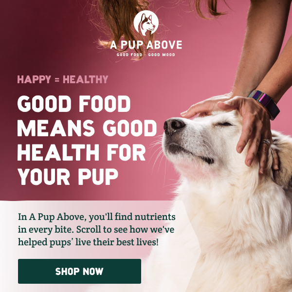 ⭐️⭐️⭐️⭐️⭐️ Healthy pup food