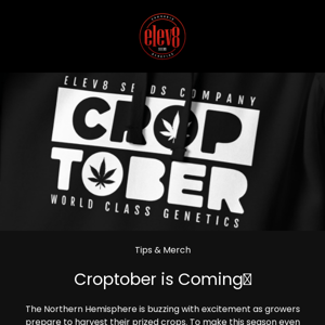 🍁 Get Ready for Croptober! Exclusive Apparel & Insider Tips Inside 🌿