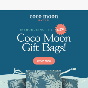 💝 JUST IN! Coco Moon Gift Bags 💝