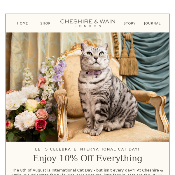 😻 Every Day Is Cat Day! Enjoy 10% off Today & Tomorrow