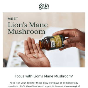 Meet Lion's Mane Mushroom