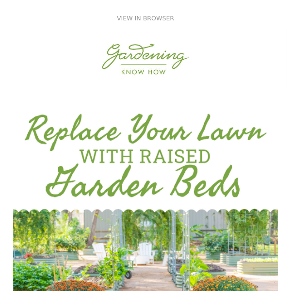 Replace Your Lawn with Raised Garden Beds