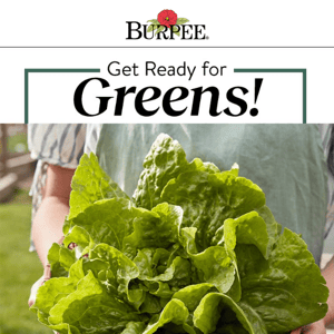 Get Ready for Late Summer Greens