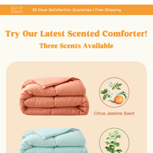 Try Our Latest SCENTED Comforter with 15% OFF