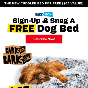 FREE Sofa Dog Bed = FREE 💤💤💤