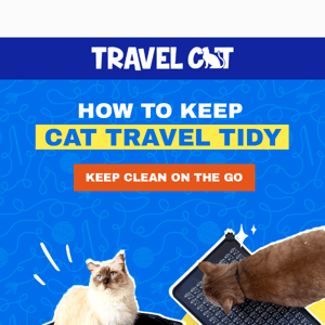 How to Keep Cat Travel Tidy ✨