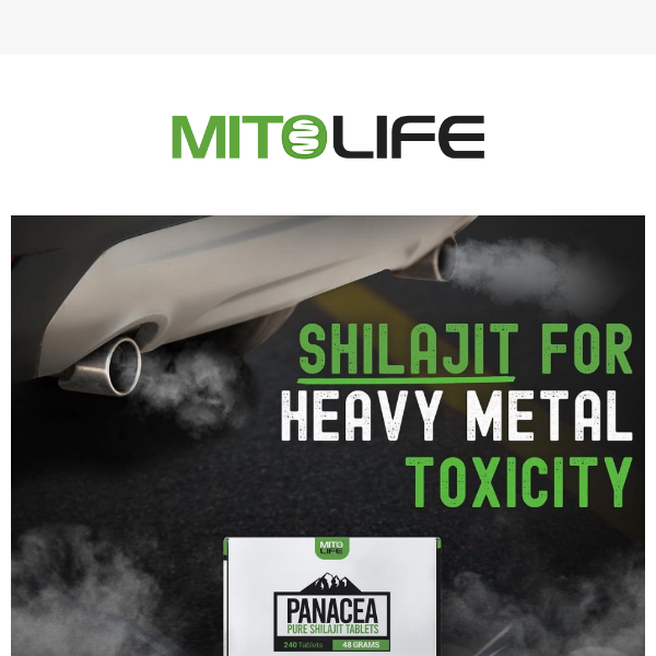 What do you know about Panacea? - Mitolife