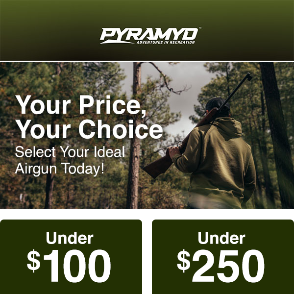 Pick Your Price Airguns!