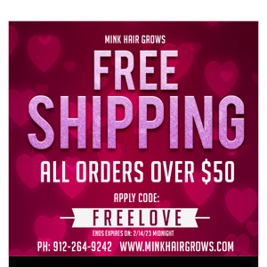 4 Hours Left to use your FREE Shipping code!