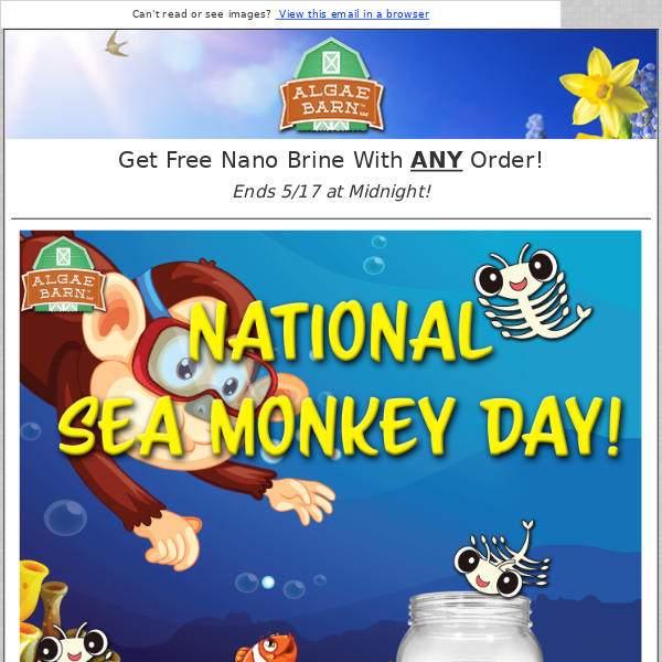It's National Seamonkey Day! + Did you win this week's FREE Pods? Find out Inside!