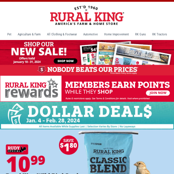 Nutty Savings: $2 Off RK Cashews + $10.99 Rudy Bird Seed & More Big Discounts Inside!