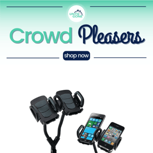 Crowd Pleasers- 76% OFF Dual Car Mount
