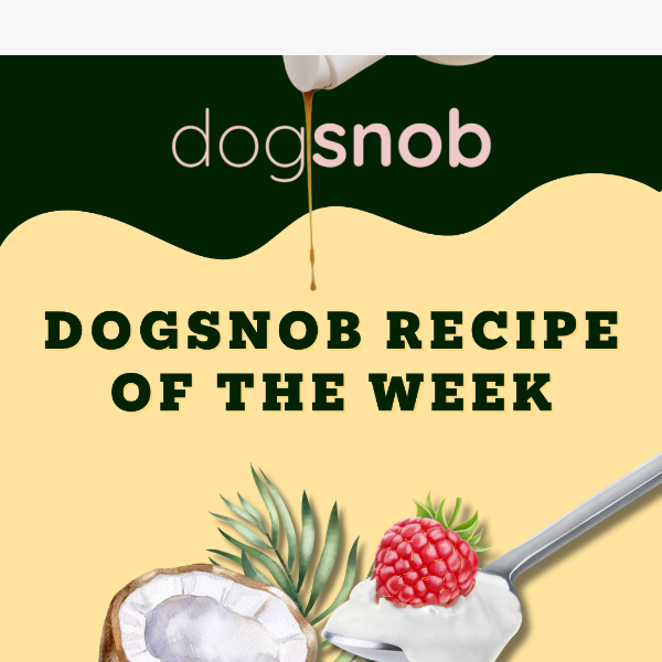 Dogsnob Recipe of the Week! 🦴🐾