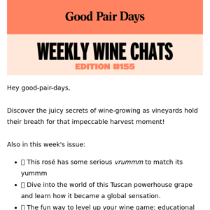 Weekly Wine Chats #155⛱