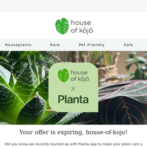 Get 30% Off Planta - Offer Ends Soon! 🌱
