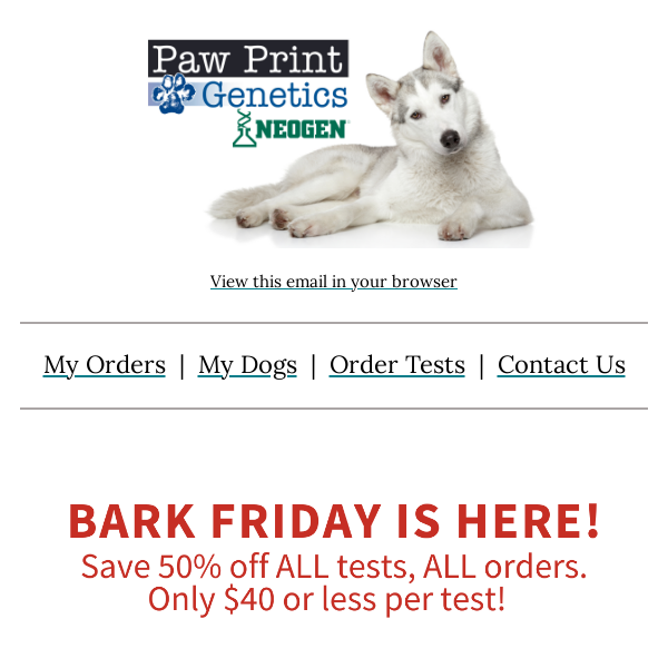 BARK FRIDAY IS HERE!