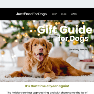 Check out our Holiday Gift Guide 🎁🐶