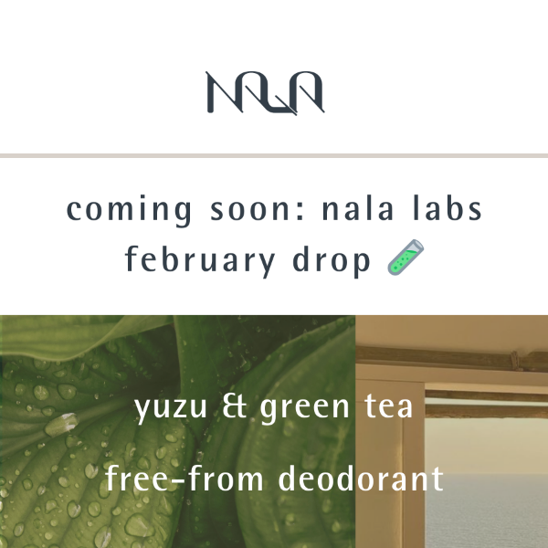 [Nala Labs] February drop coming soon!