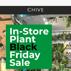 In-store Plant Black Friday Sale