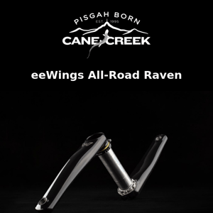 Extremely Limited Quantities: eeWings Raven