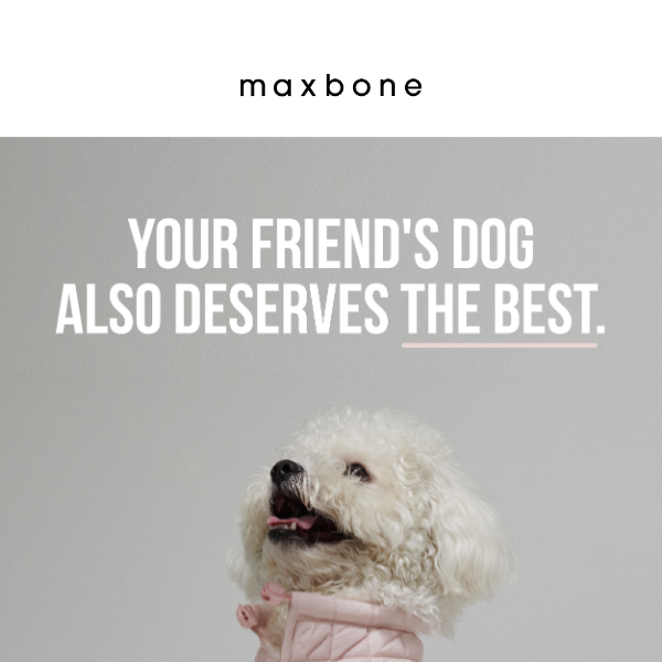 Friends don't let friends miss out on maxbone