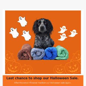 Last chance to save in our Halloween Sale 🎃