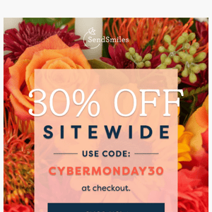 Cyber Monday Is Almost Over!