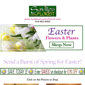 🐰 Easter Blooms are Here! 🐰 Let Savilles Florist send your Easter Blessings Message this week. 🐥