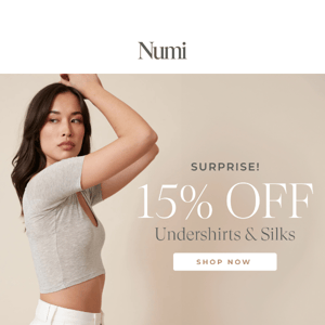 Surprise! 15% OFF Undershirts & Silks