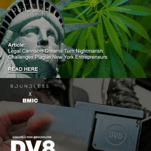 Article: Legal Cannabis Dreams Turn Nightmarish: Challenges Plague New York Entrepreneurs