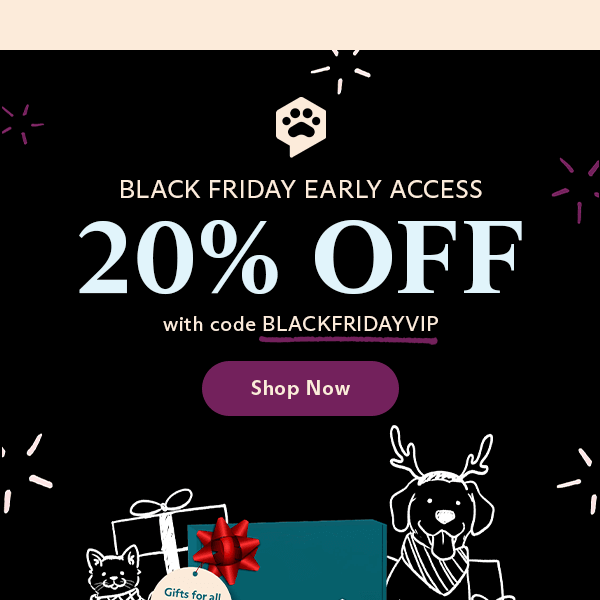[VIP Only] Exclusive Black Friday Early Access