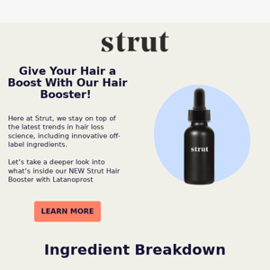 4 key ingredients inside our NEW Strut Hair Booster