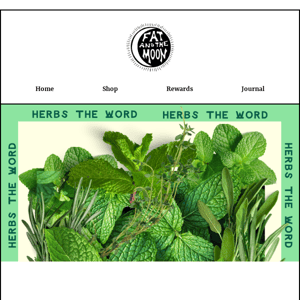 Herbs the Word: Mint