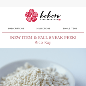 🍚[NEW ITEM & FALL SNEAK PEEK] Rice Koji