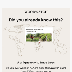 Where does WoodWatch plant my tree?