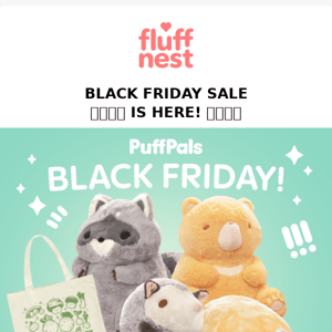 ✨🎄🎁Black Friday Sale is HERE!🎁🎄✨