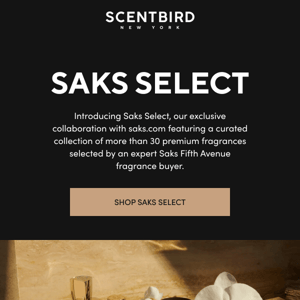 Saks Select: your favorite premium brands