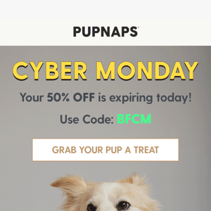 Cyber Monday: Last day for 50% off