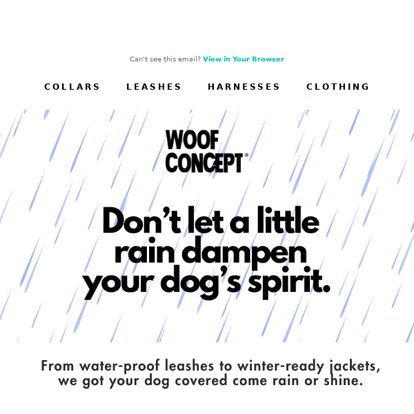 Rain or Shine, Your Dog's Ready! ☔🌞